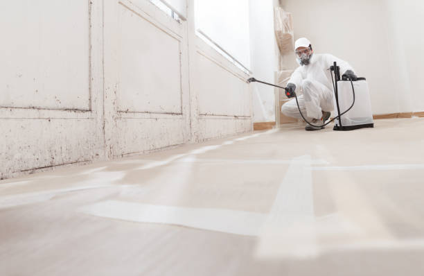 24/7 Emergency Mold Testing experts in Worcester, MA